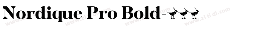Nordique Pro Bold字体转换